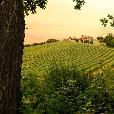 Casole dʼElsa Casali Di Casole - Timbers Tuscany المظهر الخارجي الصورة