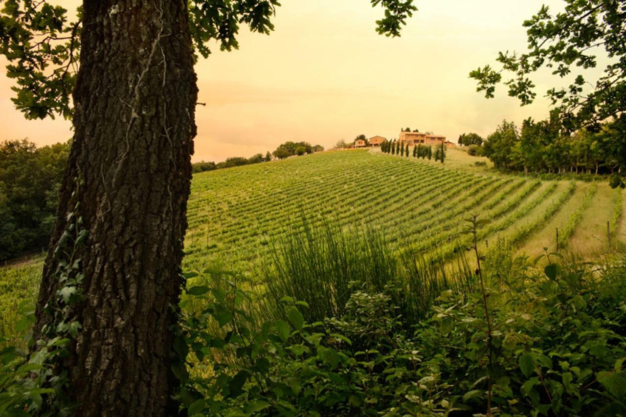 Casole dʼElsa Casali Di Casole - Timbers Tuscany المظهر الخارجي الصورة